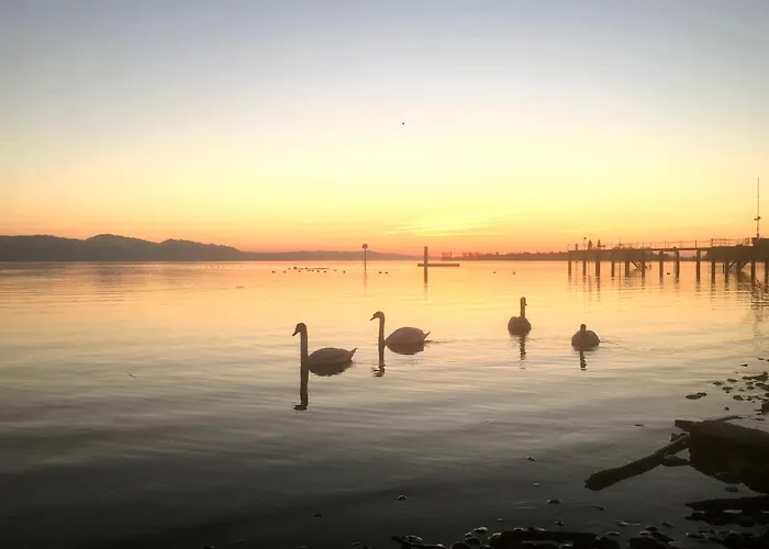 Lili 10 - Gemuetliches Auf Der Insel Lindau, Mitten Im Leben * Lindau (Bodensee)